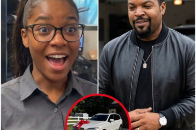 A Late-Night Act of Kindness: How a Marvel Stadium Janitor’s Help Led to an Unforgettable Surprise from Ice Cube