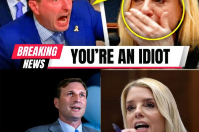 Dan Goldman SCREAMS At Pam Bondi After She HIDES Epstein-Trump Email