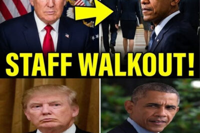 BREAKING: A Key Moment From Jack Smith’s Deposition Reignites Scrutiny of Trump’s Role in January 6