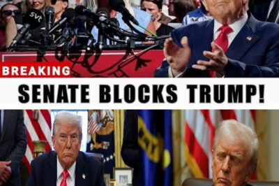 Trump Stunned as 60 Senators Block His Agenda at the Last Minute.