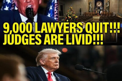 BREAKING: Federal Judges Issue Stark Warnings in Immigration Cases — Tensions Rise Between Courts and the Executive Branch