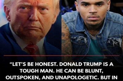 BREAKING NEWS: Chris Brown Sparks National Debate After Bold Remarks About Donald Trump