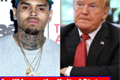 Chris Brown Signals Possible Move Abroad, Citing Creative Constraints in the U.S.