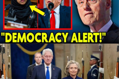 DEMOCRACY ALERT: “Something deeper than decorum is broken.”