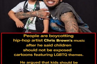 Boycott: People are boycotting hip-hop and R&B artist Chris Brown’s music after he said children should not be exposed to cartoons featuring LGBTQ themes.