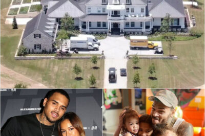 Chris Brown Makes Unexpected Homecoming Move – Childhood House in Virginia to Become Recovery Center
