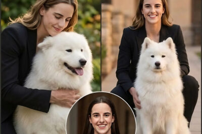 How Caitlin Clark Quietly Helped Save 32 Shelter Animals in Los Angeles and Gave an Elderly Dog Named Max a New Chance at Life-ll