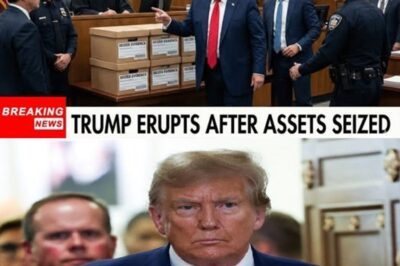 BREAKING: Courtroom Erupts as Trump Explodes After Judge Orders Final Asset Seizure.