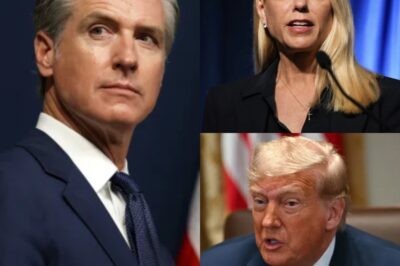 Unmarked Folder Sparks Heated Exchange in Oversight Session…