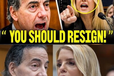 NEVER BEFORE THIS: Rep. Raskin Questions Pam Bondi After Heated Judiciary Hearing Confrontation.