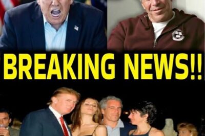 Newly Released FBI Interview Records Renew Attention on Trump–Epstein Controversy.