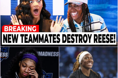 The Brutal Welcome: Why Angel Reese’s New Teammates Are Publicly Roasting Her Before the Season Even Begins