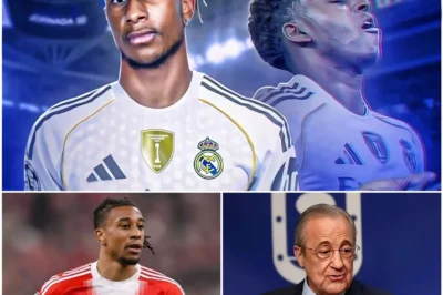 “TRANSFER BLOCKBUSTER: Real Madrid Spend €80 MILLION to SNATCH Michael Olise from Bayern Munich – Ancelotti declares ‘He is the final piece for the perfect attacking trio!’ sparking FURY from Bayern, who threaten to refuse a sale at any price.