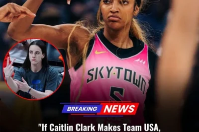 Angel Reese drew the line: “If Caitlin Clark Makes Team USA, I’m Gone for Good” – Head coach Cheryl Reeve immediately had to intervene and make a surprising statement