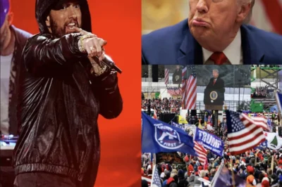 “You Are Not Eminem” — A Federal Judge Brutally Slaps Down Donald Trump’s Bizarre Legal Argument Comparing His Jan 6th Speech to a Violent Rap Concert Performance