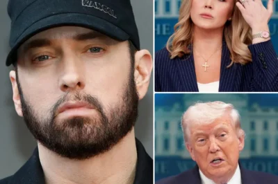 Eminem’s Viral TV Clash Sparks Debate on Celebrity Voice and Political Power