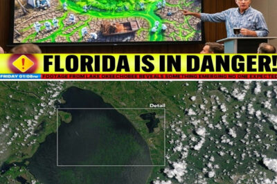 Footage From Lake Okeechobee Reveals Something Emerging No One Expected