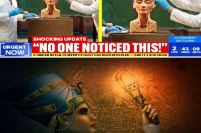 A Hidden Detail In Nefertiti Bust Has Been Revealed — And It’s Shocking