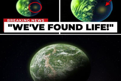 James Webb Telescope Just Detected A FULLY Habitable Planet