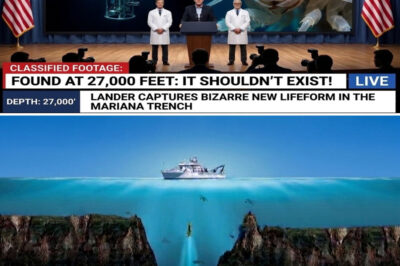 A Lander Captured Something Alive In The Mariana Trench At 27,000 Feet — It Shouldn’t Exist