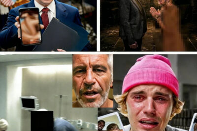 HOLLYWOOD’S APOCALYPSE: THE 2.8 BILLION-VIEW DEGENERES-BIEBER EPSTEIN ALLEGATION THAT BROKE THE INTERNET