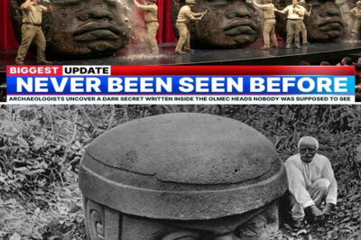 AI 3D Scans Finally Decode The Mystery of The Olmec Heads — What They Revealed Terrified The World
