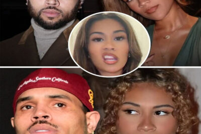 Chris Brown Claps Back At Ex Diamond Filing For Full Custody: “Baby Mama Ain’t S**t!” Chris Brown has fired back hard at his ex Diamond after she filed for sole legal and physical custody of their four-year-old daughter