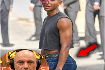 Joe Rogan REVEALS What Diddy & Will Smith Did To Jaden Smith To Turn Him FEM Boy