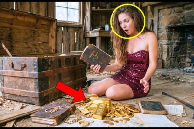 Left With Only A Dilapidated Shack After Divorce — What She Found Inside Shocked Everyone!